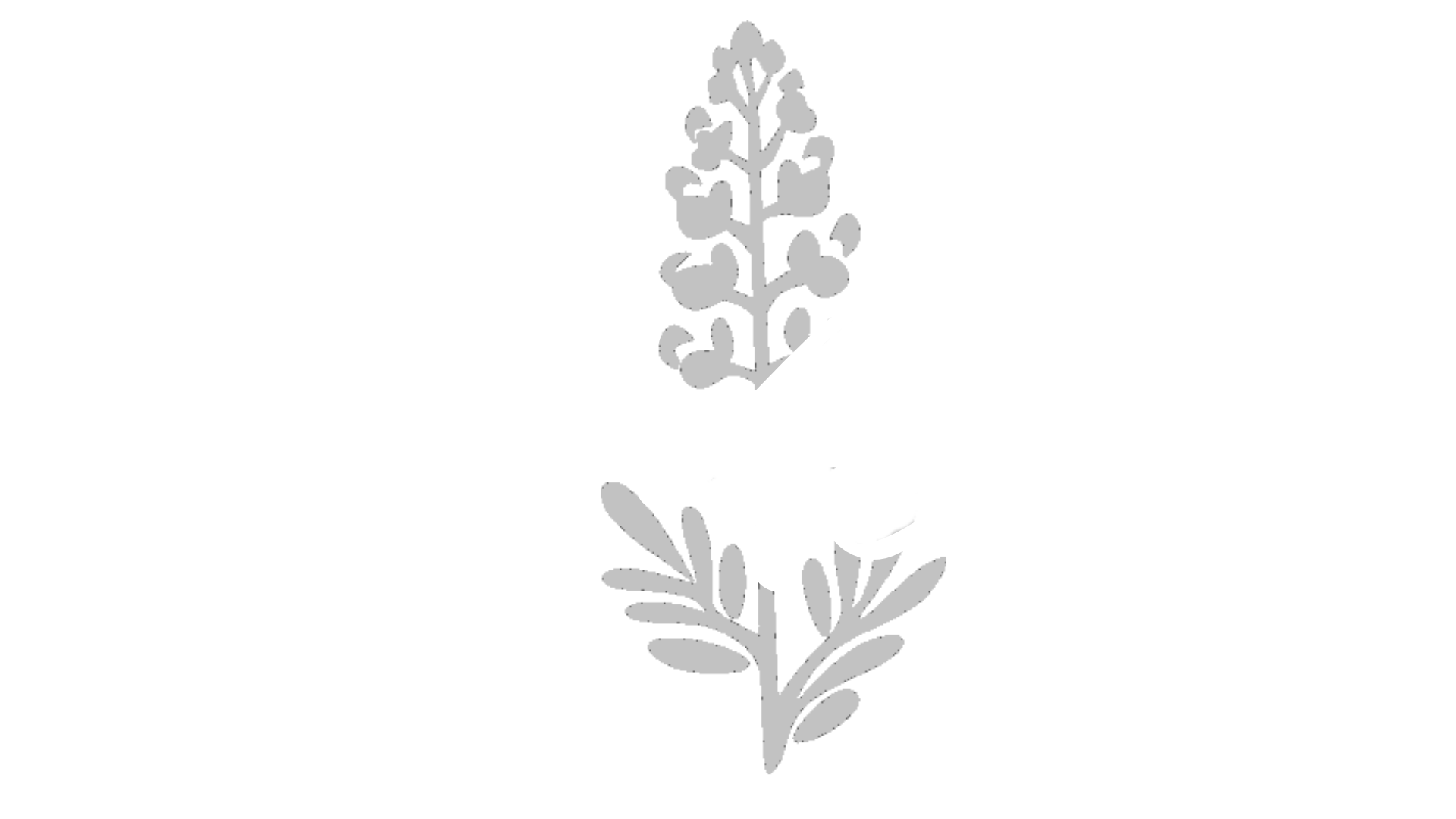 TX Media Logo White Tshirt